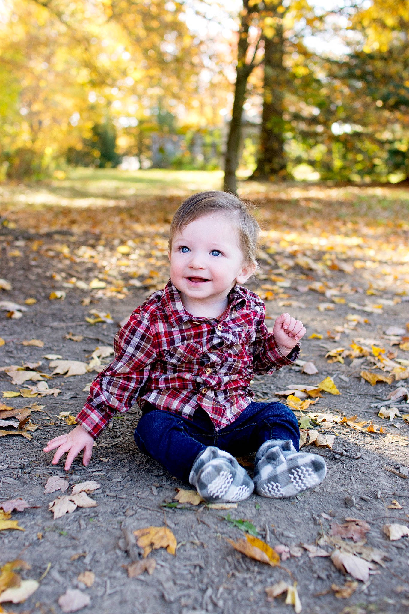 Brody is registered to the contest to win money with this photo: asphalt, beauty, branch, child, deciduous, dress, grass, happy, joy, leaf, leisure, people_in_nature, person, plaid, plant, road_surface, smile, sunlight, tints_and_shades, toddler