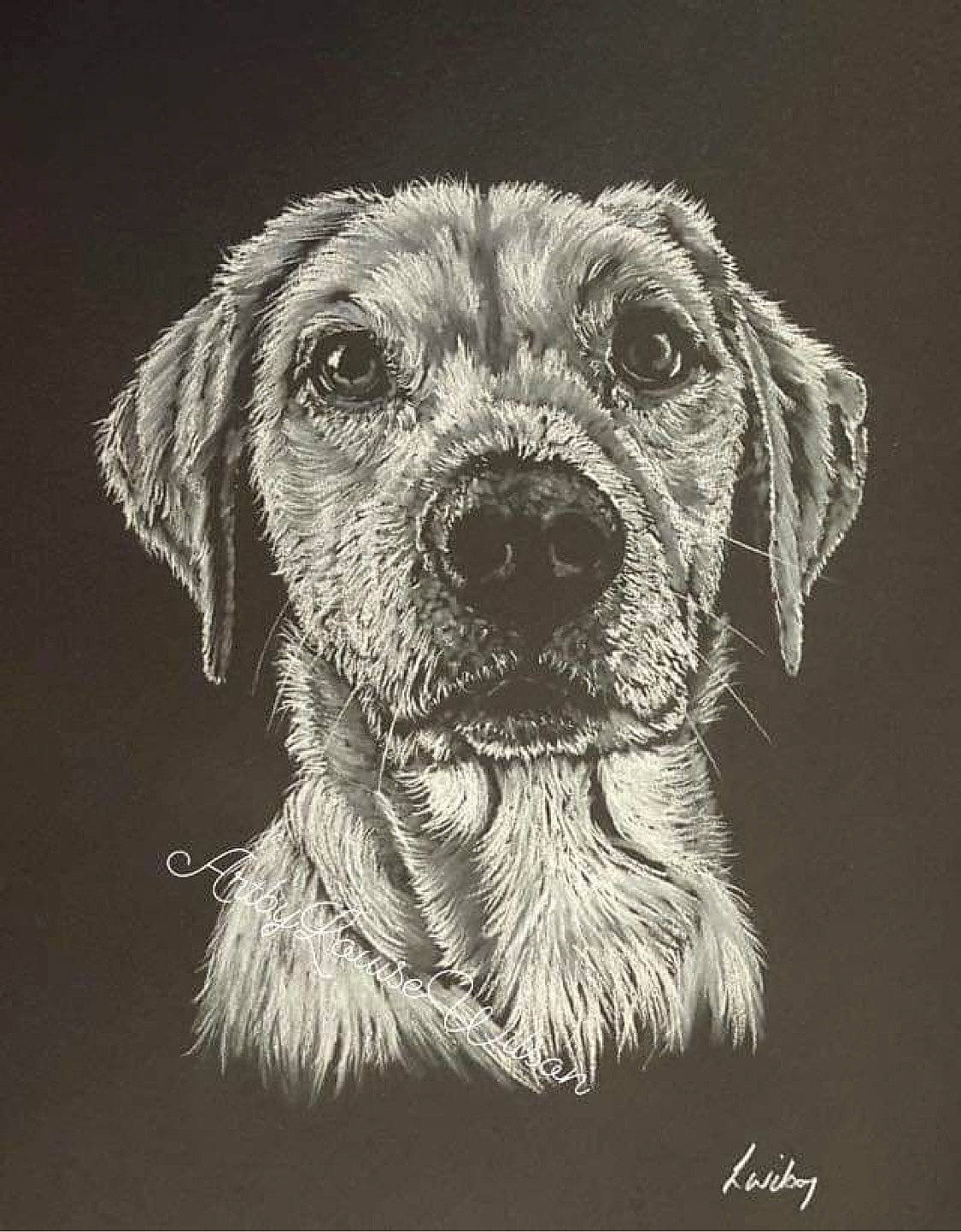 Teddy is registered to the contest to win money with this photo: art, canidae, carnivore, companion_dog, dog, dog_breed, drawing, font, fur, illustration, monochrome, monochrome_photography, rectangle, snout, sporting_group, still_life_photography, terrestrial_animal, whiskers, wildlife, working_animal