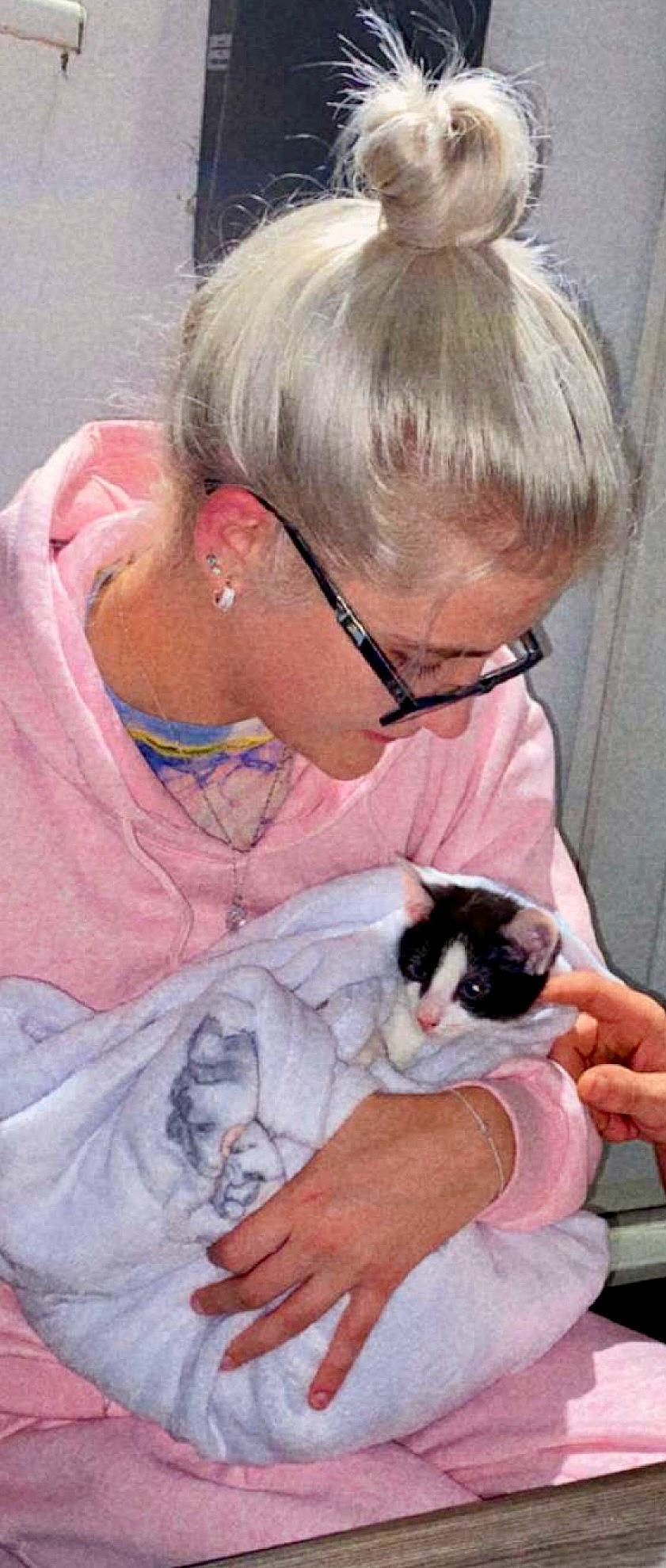 Snowball is registered to the contest to win money with this photo: art, carnivore, cat, comfort, domestic_short_haired_cat, ear, eyewear, felidae, fur, glasses, paint, small_to_medium_sized_cats, sunglasses, whiskers, wrinkle