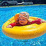 Kalvin joined the competition — help win amazing prizes! baby, child, pool, water, inflatable_ring, yellow, hat, sunny, outdoor, summer, blue_sky, green_trees, happy, smiling, floating, recreation, vacation, fun, cute, sunshine