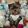 puppy, dog, stuffed_animals, plush_toys, white_vest, small_dog, furry, cute, indoors, soft_toys, seated, brown_fur, black_fur, toy_collection, pet, cozy, adorable, animal, young_dog, home