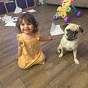 Zaya joined the competition — help win amazing prizes! toddler, child, dog, pug, toy, floor, living_room, paper, smiling, yellow_dress, furniture, home, pet, cute, playful, indoor, happy, animal, person, wooden_floor