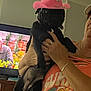 animal, black_dog, bracelet, casual, colorful_clothing, cowboy_hat, dog, furniture, hand, holding, home, indoor, living_room, person, pet, pink_hat, ring, shirt, summer, television