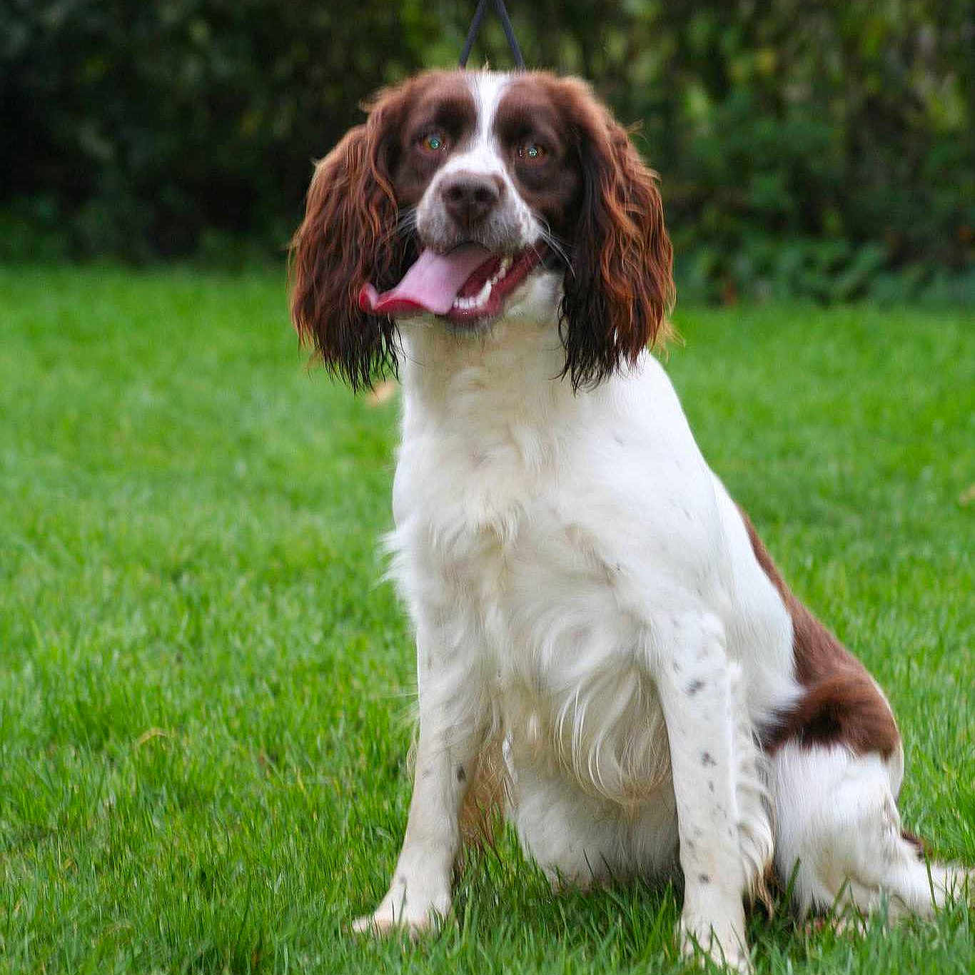 Ianka De La Meule De Pierre