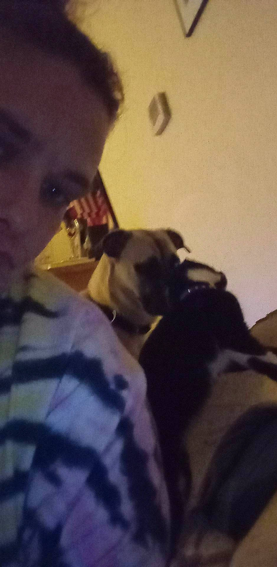 Saber is registered to the contest to win money with this photo: audio_equipment, black_hair, carnivore, companion_dog, dog, dog_breed, ear, elbow, eyewear, fun, fur, gesture, guard_dog, jaw, non_sporting_group, personal_protective_equipment, selfie, toy_dog, working_animal