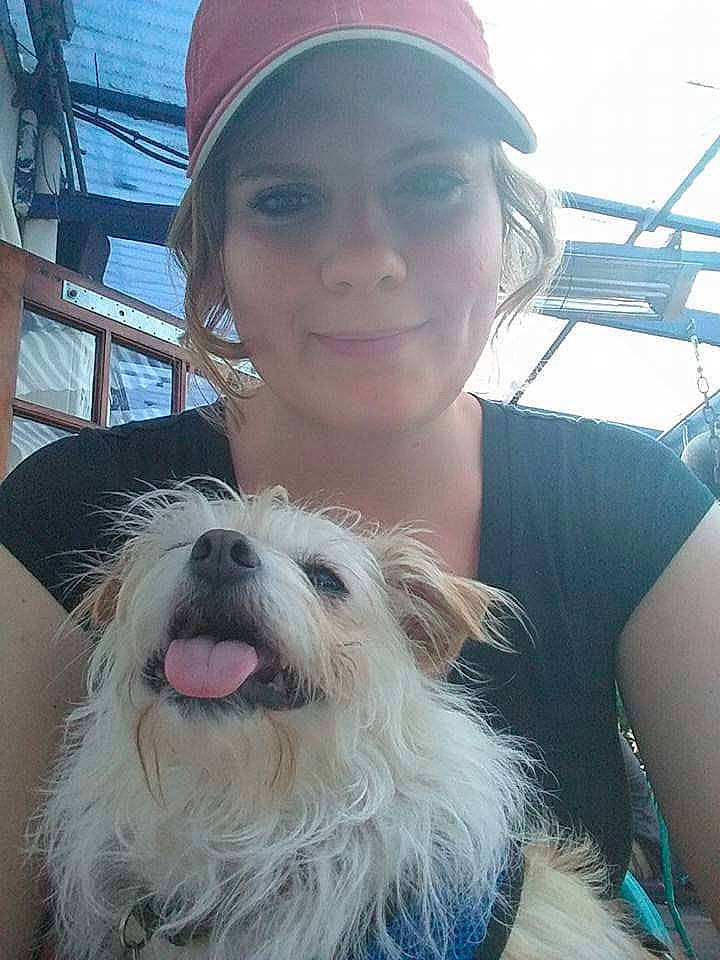 Chica joined the competition — help win amazing prizes! cairn_terrier, canidae, carnivore, catalan_sheepdog, companion_dog, dog, dog_breed, glen_of_imaal_terrier, mammal, morkie, person, puppy_love, rare_breed_dog, sapsali, schnoodle, small_terrier, sporting_lucas_terrier, terrier, west_highland_white_terrier