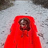 Coco joined the competition — help win amazing prizes!