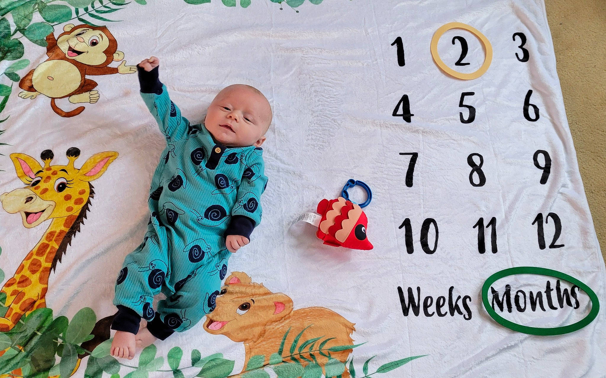 Jace is registered to the contest to win money with this photo: art, baby, baby_products, baby_toddler_clothing, baby_toys, child, facial_expression, font, graphics, green, happy, illustration, linens, organism, pattern, person, product, room, stuffed_toy, textile