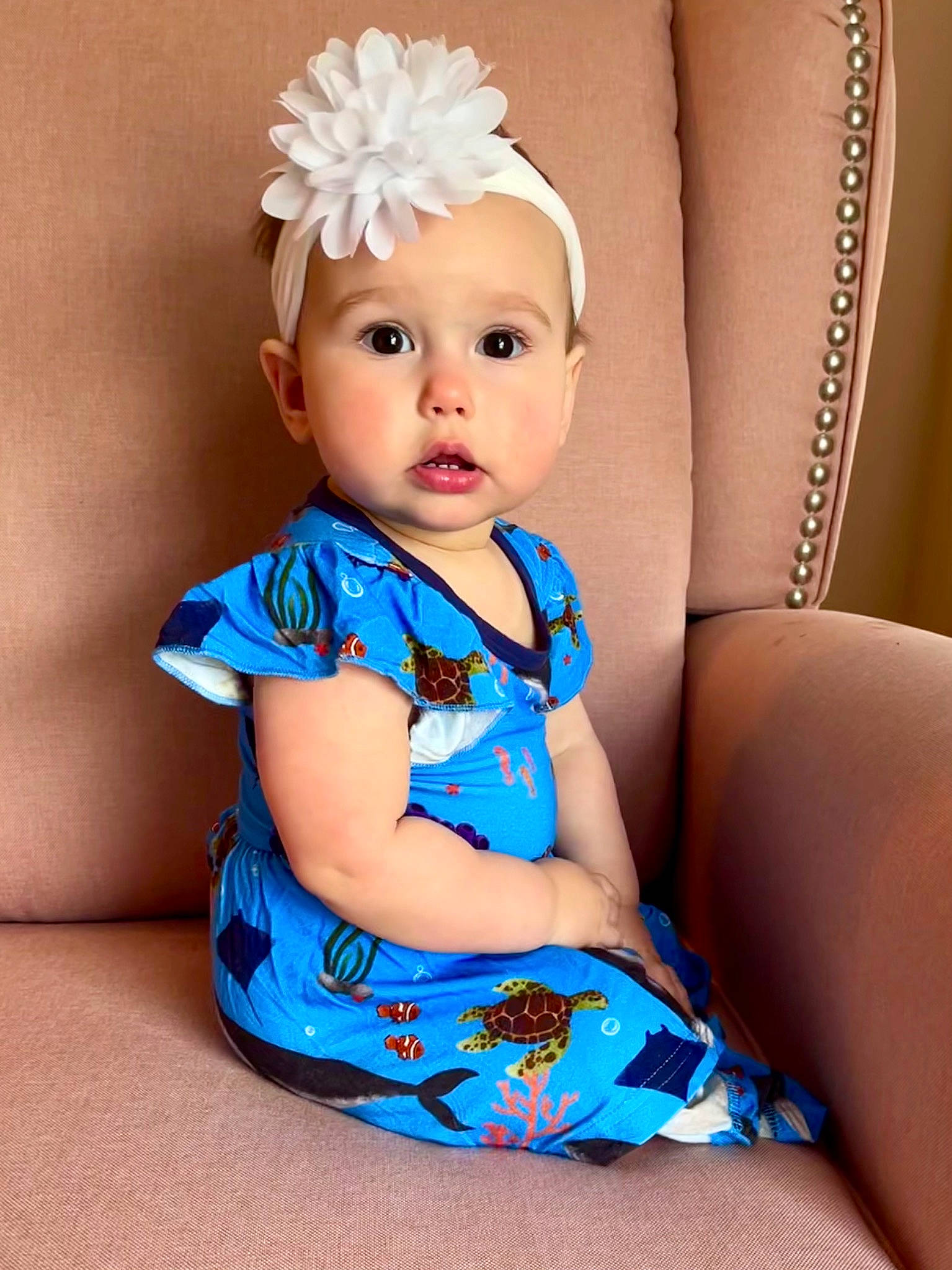 Sienna is registered to the contest to win money with this photo: baby, baby_toddler_clothing, blue, child, costume_hat, day_dress, dress, electric_blue, embellishment, eyelash, fashion_accessory, headband, headpiece, human_leg, jewellery, pattern, person, petal, sitting, sleeve