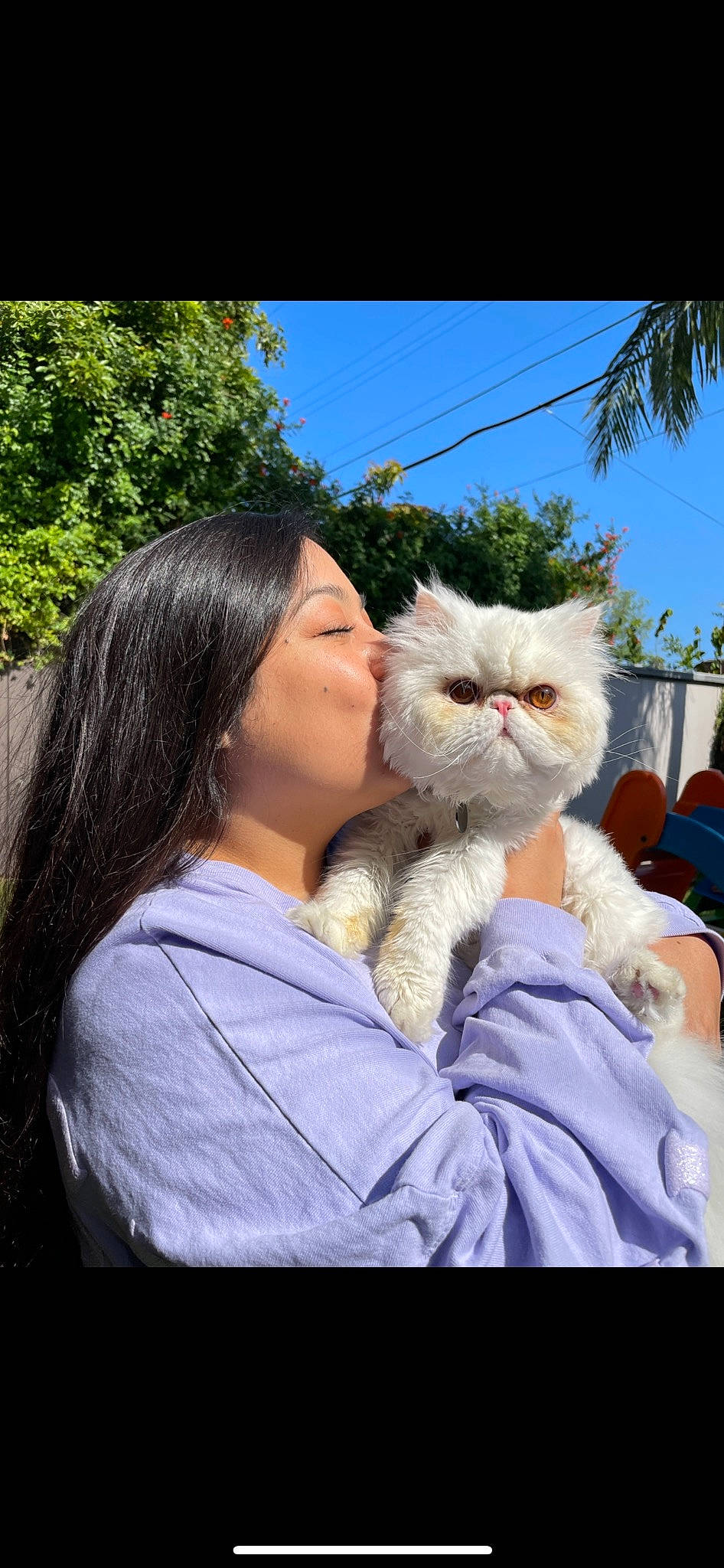 Kiwi is registered to the contest to win money with this photo: carnivore, cat, comfort, companion_dog, event, felidae, fun, fur, gesture, grass, happy, hug, leisure, sitting, sky, small_to_medium_sized_cats, tree, vacation, whiskers