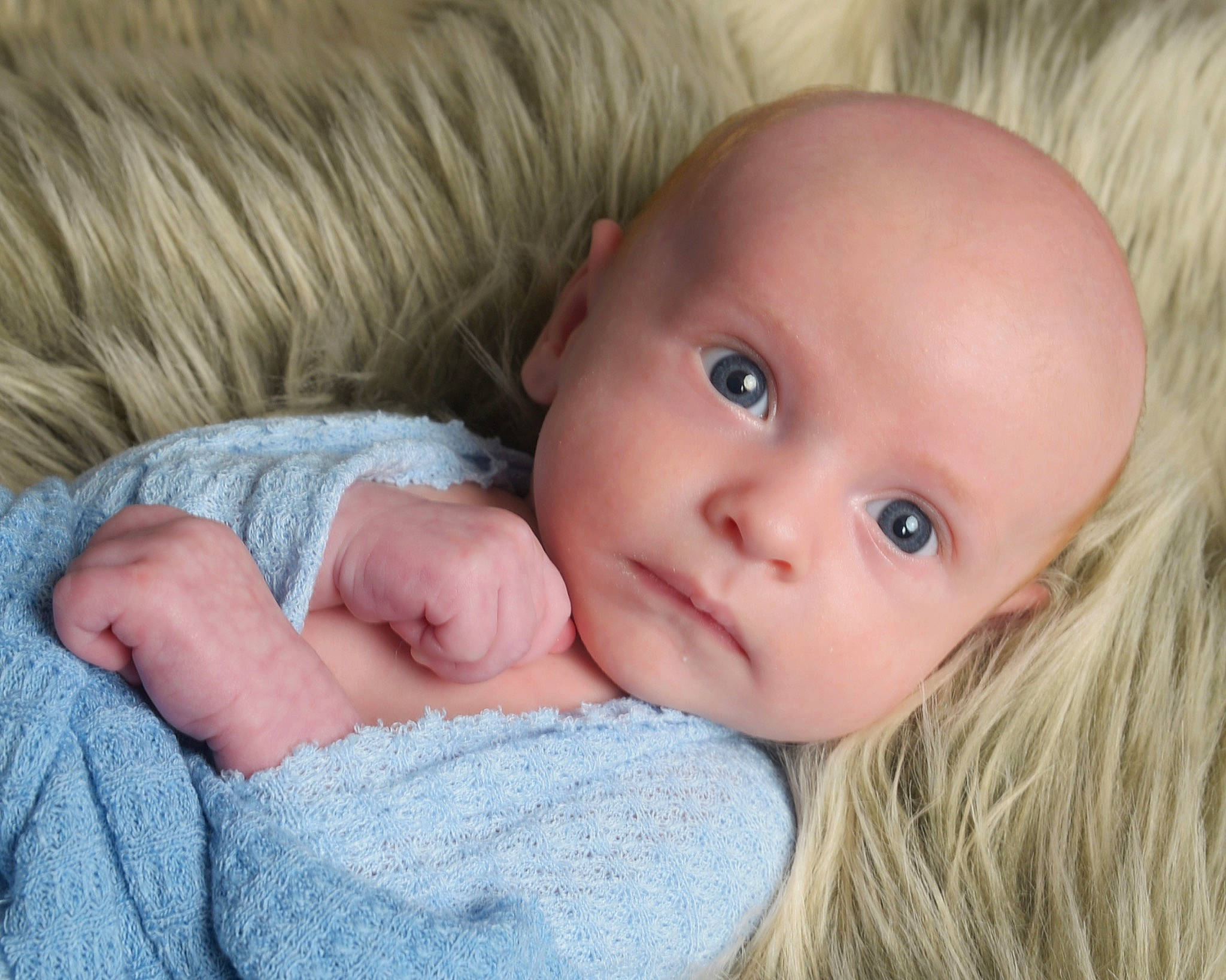 Palmer is registered to the contest to win money with this photo: baby, baby_toddler_clothing, cheek, child, clothing, comfort, couch, ear, eyelash, fur, grass, happy, iris, lip, nose, person, sitting, skin, toddler, wood