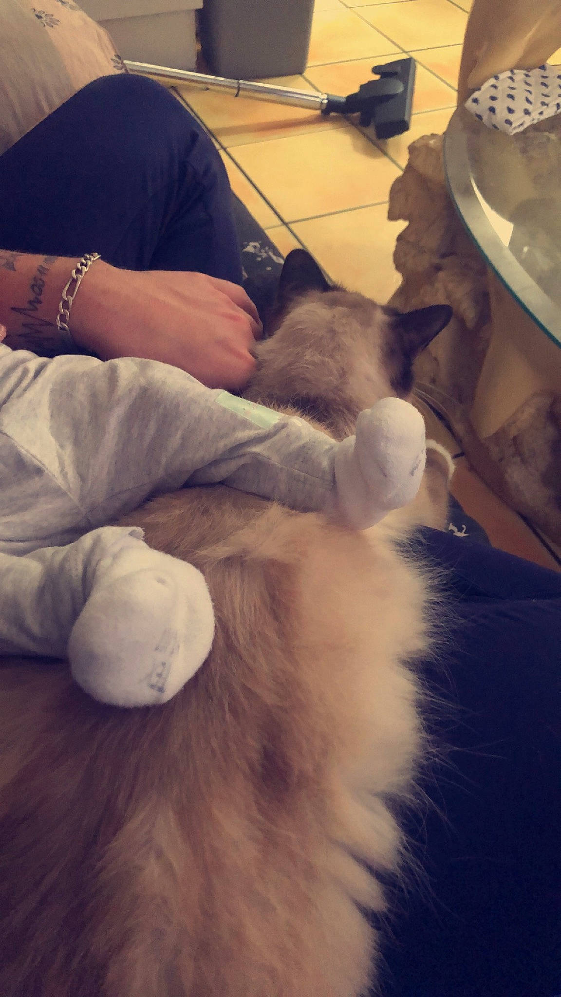 Fada participe au concours pour gagner de l'argent avec cette photo : carnivore, cloud, comfort, companion_dog, cool, dog_breed, elbow, fawn, gesture, headgear, interaction, lap, leg, mammal, mountainous_landforms, nail, shoe, shoulder, thigh, vertebrate