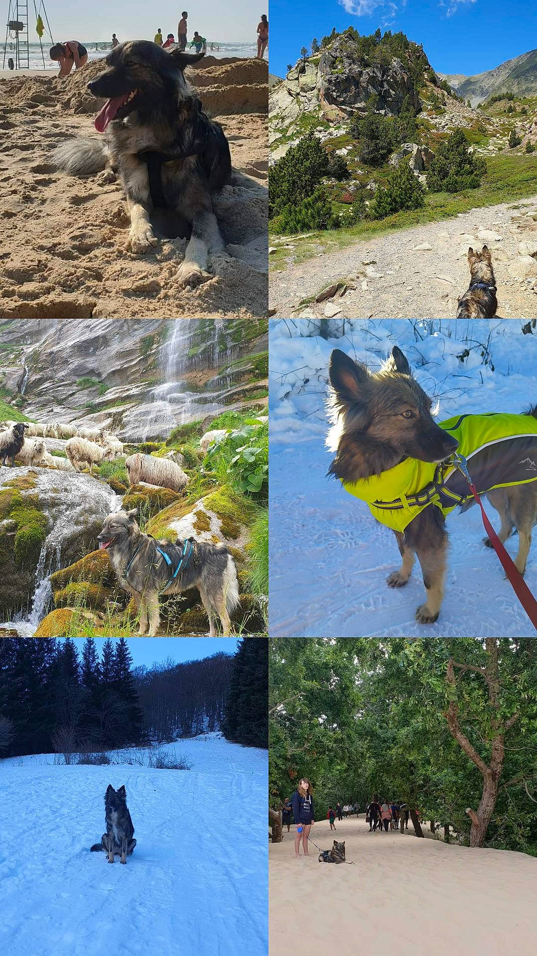 Sotcha participe au concours pour gagner de l'argent avec cette photo : adaptation, adventure, art, bedrock, biome, collage, grass, green, landscape, leisure, mountain, natural_landscape, nature, organism, photograph, plant, recreation, slope, travel, wilderness