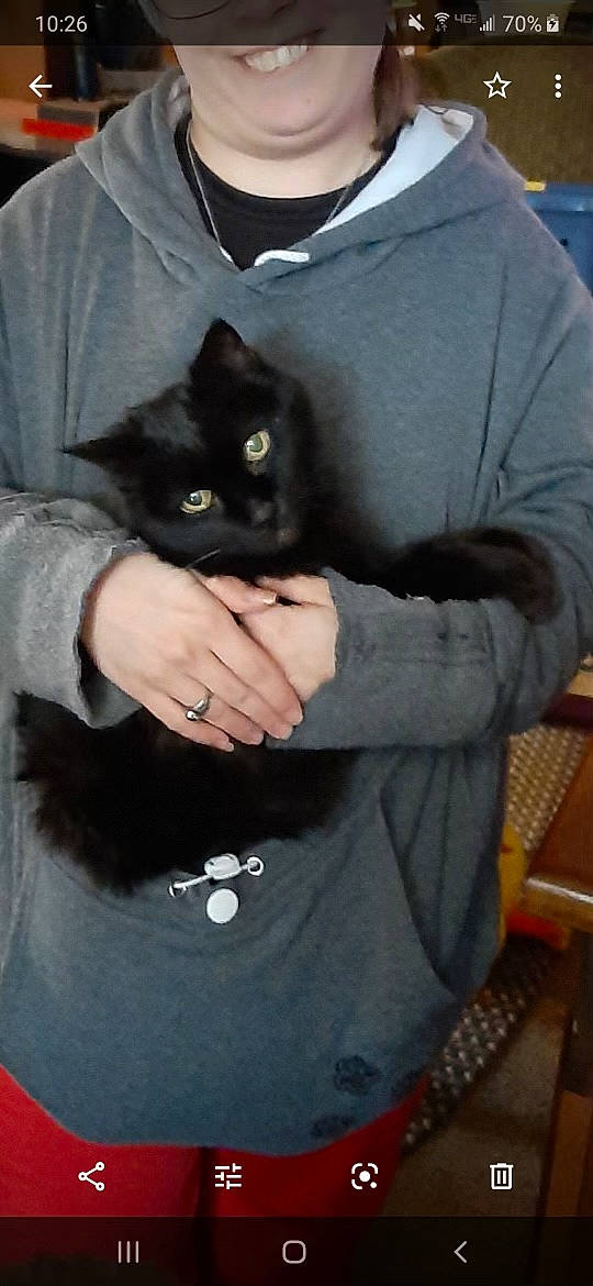 Mona is registered to the contest to win money with this photo: arm, beard, black_cat, carnivore, cat, chair, comfort, domestic_short_haired_cat, eye, felidae, finger, fur, gesture, grey, outerwear, sleeve, small_to_medium_sized_cats, snout, t_shirt, whiskers