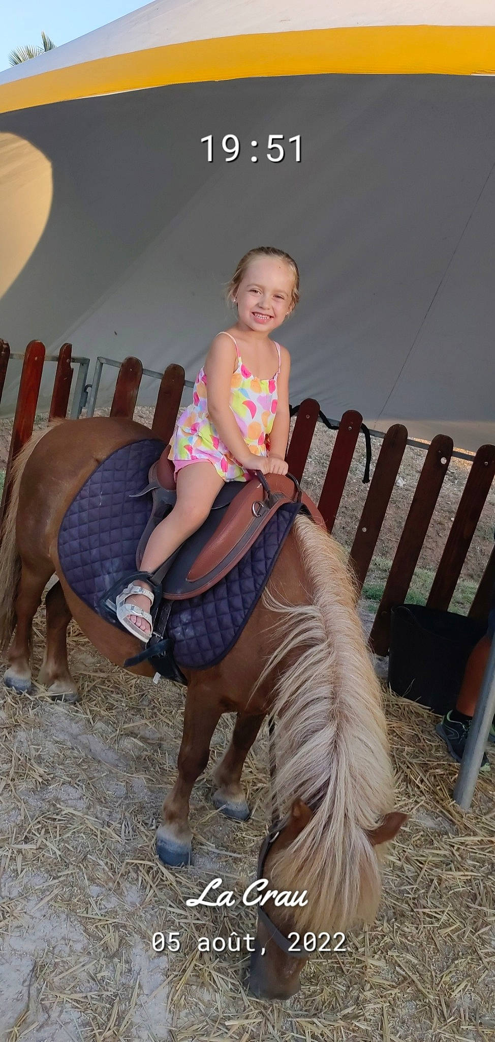 Cassy a rejoint le concours — aidez-le/la à gagner de superbes lots ! bridle, equestrianism, event, fawn, fun, happy, horse_supplies, horse_tack, joy, landscape, leg, leisure, livestock, mane, person, recreation, rein, saddle, smile, t_shirt