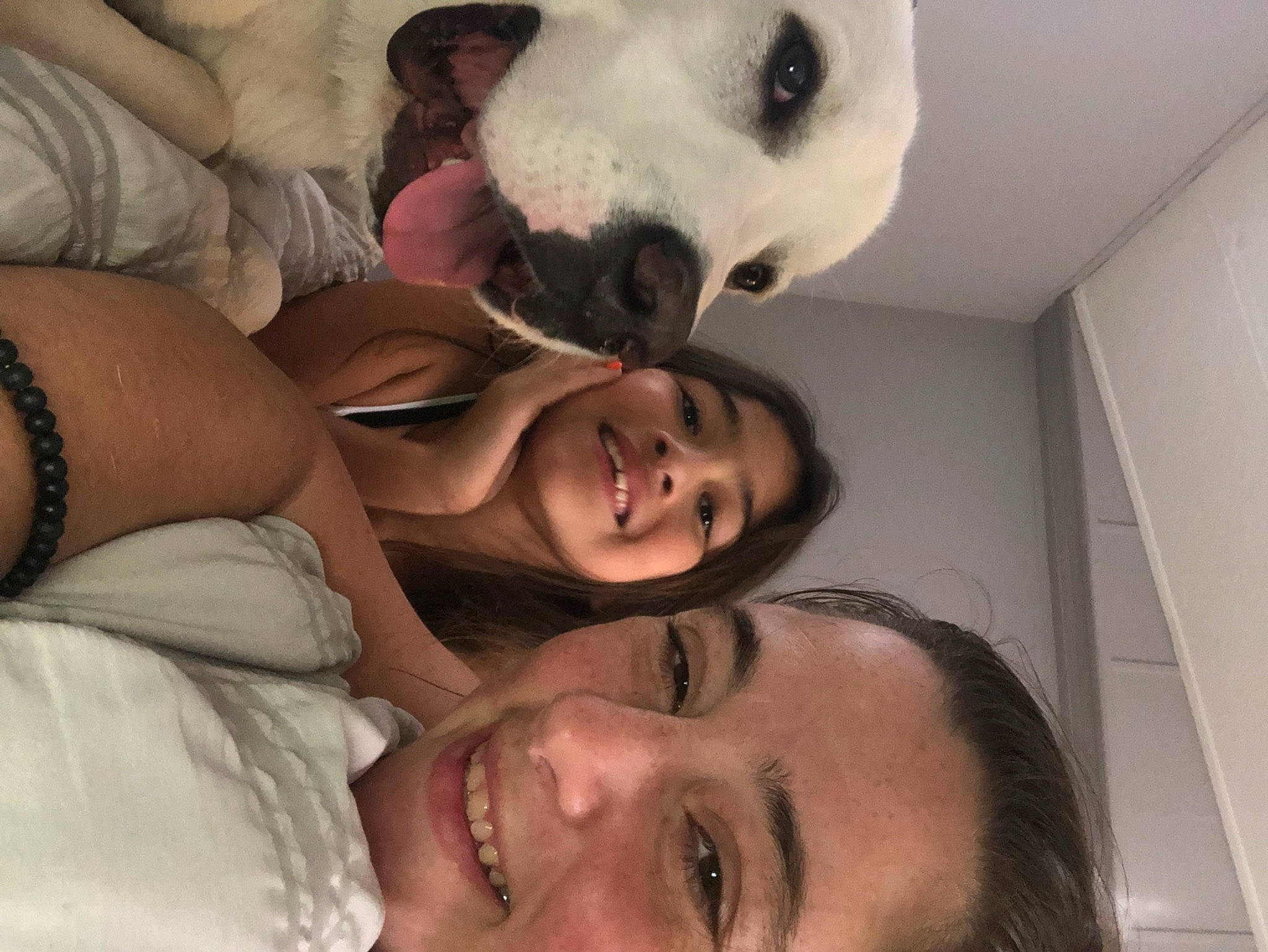 Milo joined the competition — help win amazing prizes! comfort, dog, ear, eye, eyebrow, eyelash, face, gesture, happy, interaction, jaw, mammal, mouth, neck, nose, organ, photograph, smile, vertebrate, white