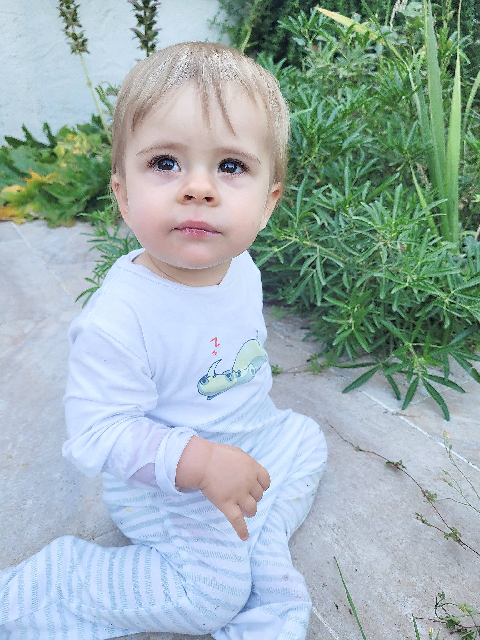 éden a rejoint le concours — aidez-le/la à gagner de superbes lots ! baby, baby_toddler_clothing, botany, cheek, child, eye, grass, groundcover, happy, head, iris, leaf, lip, nose, people_in_nature, person, plant, skin, sleeve, standing
