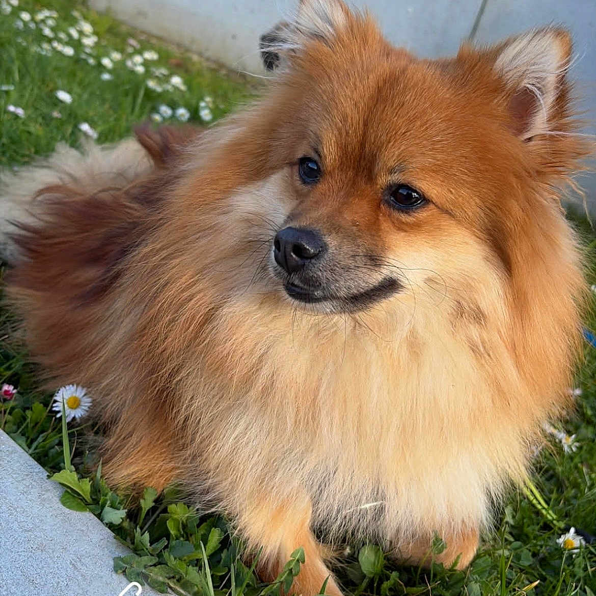 Milo