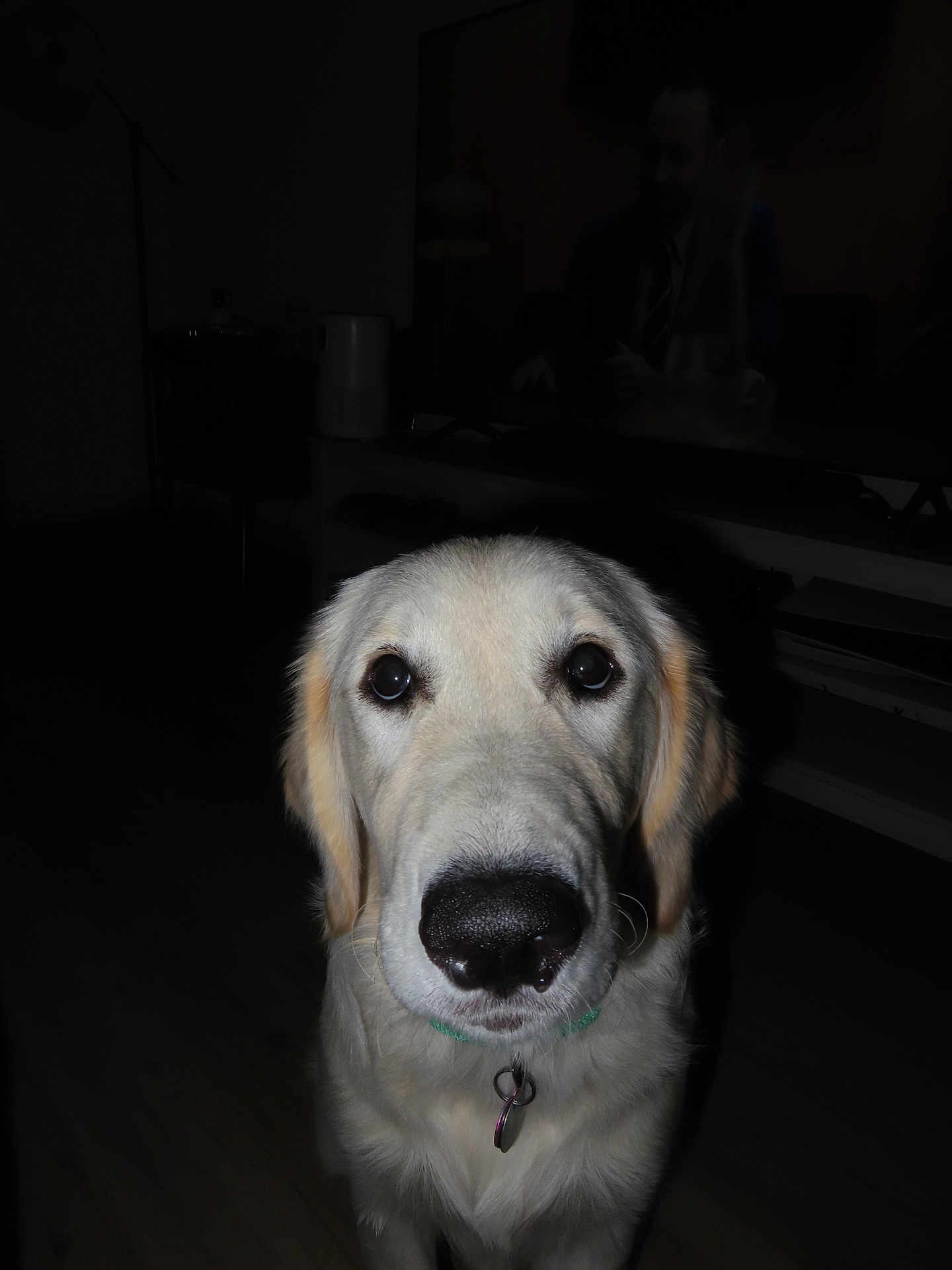 Lilah