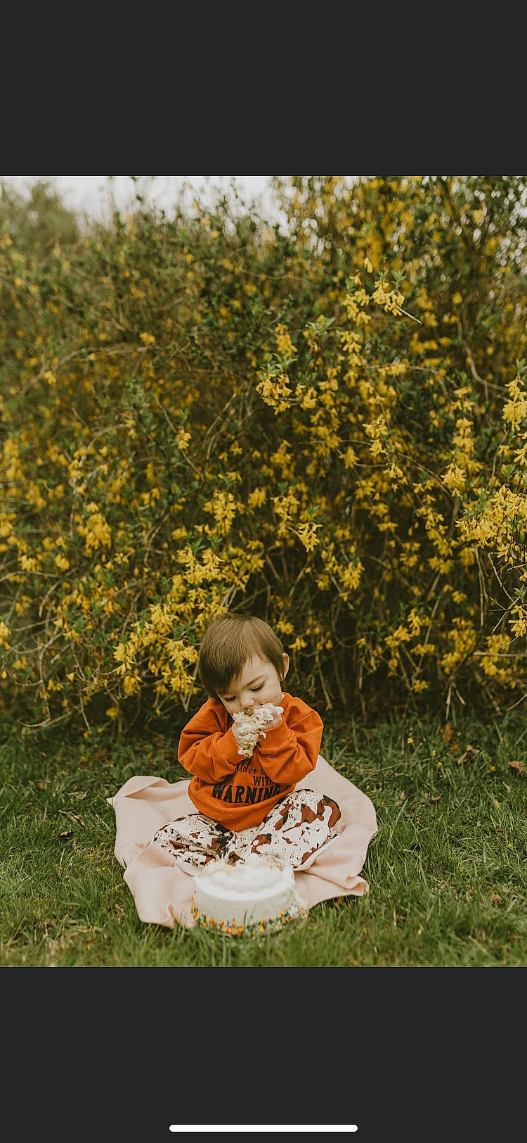 Shae is registered to the contest to win money with this photo: baby, baby_toddler_clothing, deciduous, flower, flowering_plant, grass, grassland, happy, landscape, leaf, meadow, natural_landscape, people_in_nature, person, plant, prairie, shrub, sitting, smile, toddler