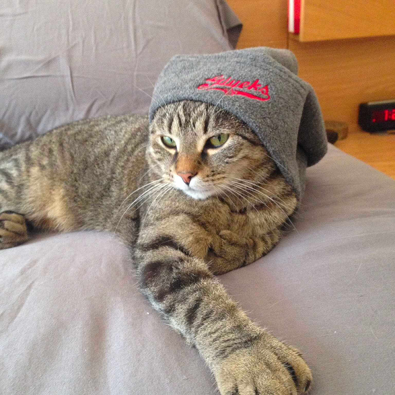 Ellis is registered to the contest to win money with this photo: