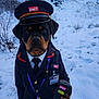 animal, badge, black_coat, blue_sky, canine, device, dog, hat, id_card, mountains, outdoor, portrait, rottweiler, scenic_background, serious_expression, snow, standing, tie, uniform, winter