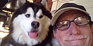 Ripley joined the competition — help win amazing prizes! animal, candle, cap, dog, face, furniture, glasses, hanger, happy, home_decor, husky, indoor, living_room, man, pet, portrait, selfie, smile, tongue_out, wooden_wall