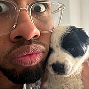 Oreo participe au concours pour gagner de l'argent avec cette photo : accessories, adult, animal, beard, bodypart, canine, dog, face, finger, glasses, hand, head, hound, male, man, person, pet, photography, portrait, puppy