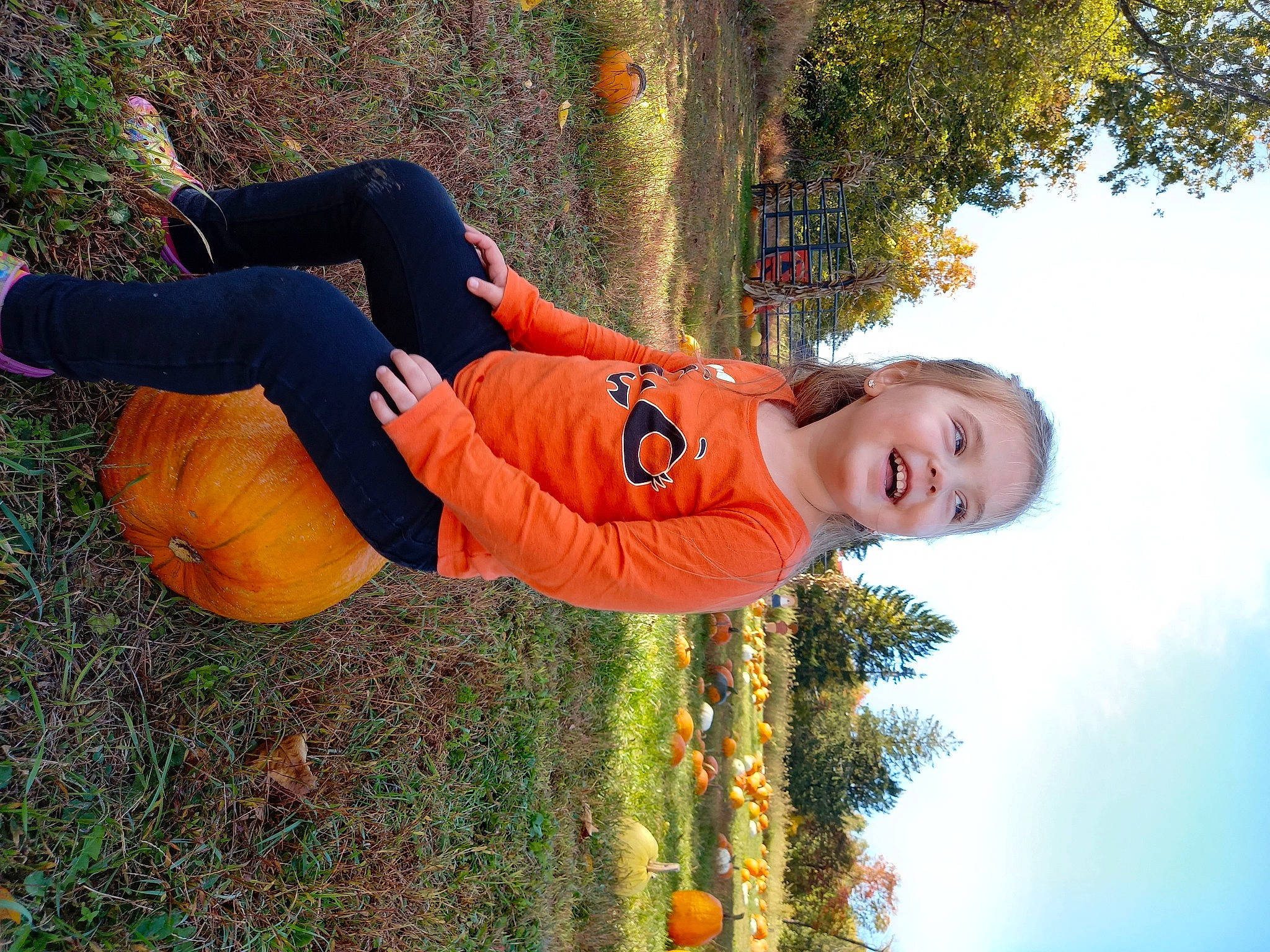 Macie is registered to the contest to win money with this photo: autumn, child, fun, grass, happy, joy, leaf, leisure, people_in_nature, person, plant, pumpkin, smile, toddler, tree, vacation