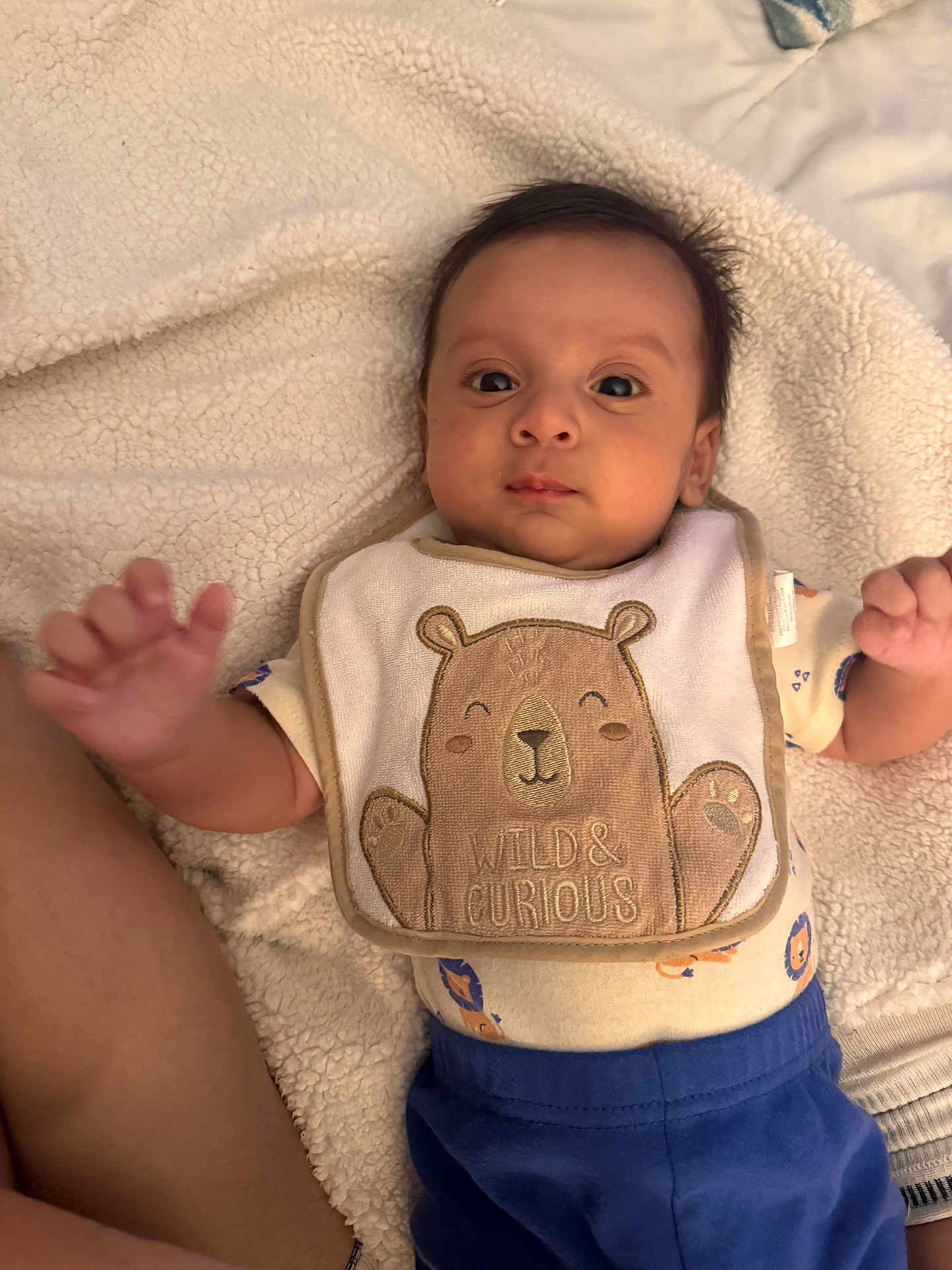 Líam Mauricio Susman is registered to the contest to win money with this photo: baby, infant, bib, blanket, clothing, cute, face, hand, lying_down, person, portrait, soft_texture, smiling_bear, toddler, young_child, blue_pants, cream_blanket, curious_expression, indoors, sleepwear