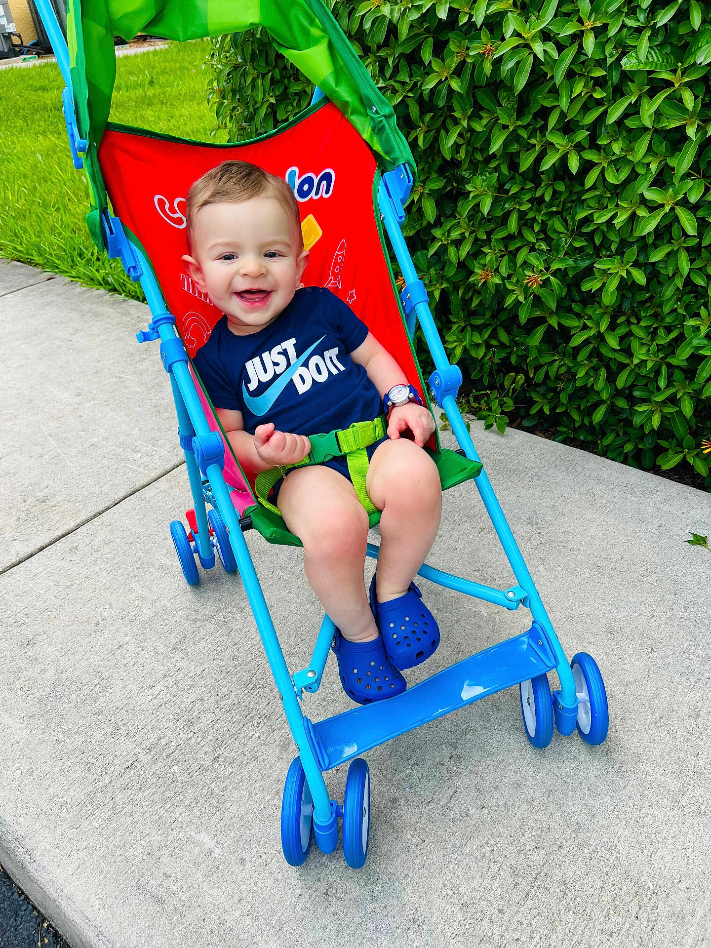 Alex is registered to the contest to win money with this photo: toddler, child, stroller, outdoor, sidewalk, grass, greenery, smiling, blue_clothing, blue_shoes, watch, safety_belt, happy, casual, sunny, daytime, nature, playful, cute, portrait