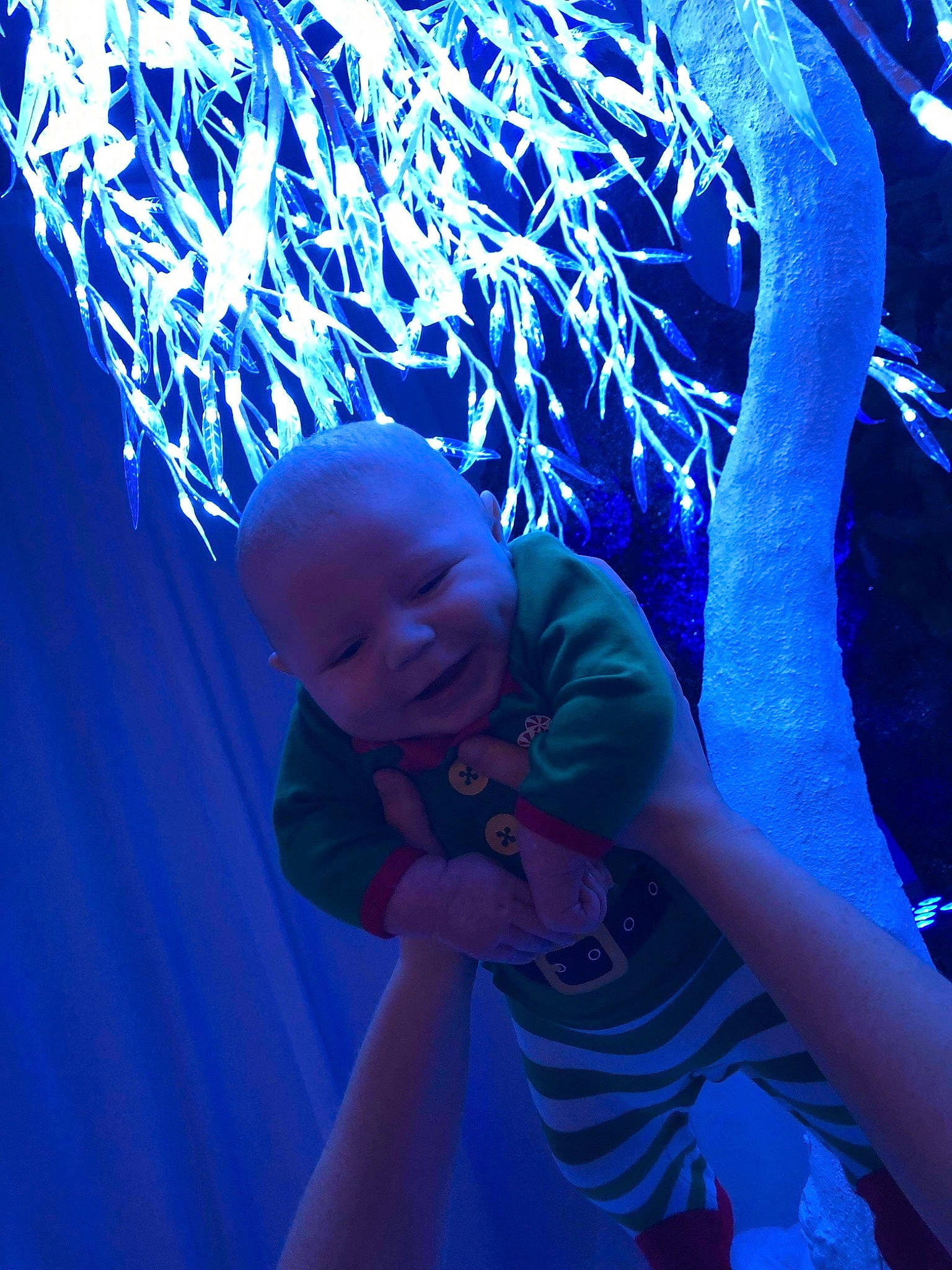 Caius joined the competition — help win amazing prizes! blue, cobalt_blue, electric_blue, light, majorelle_blue, organism, person, tree, world