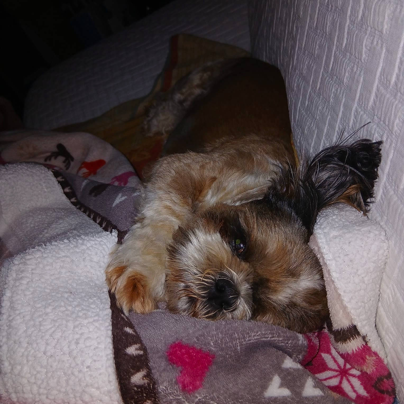 Roxanne