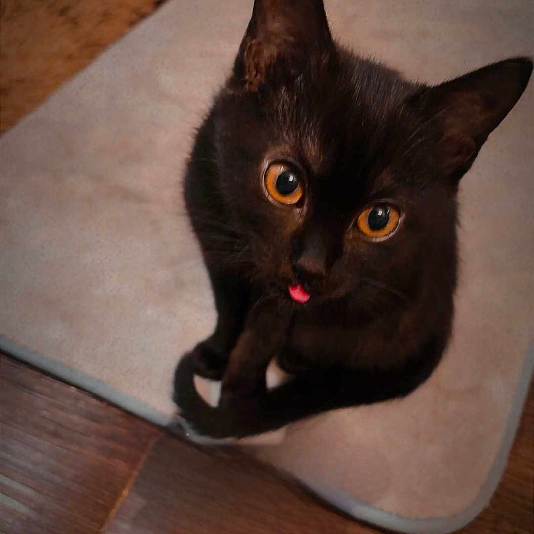Salem