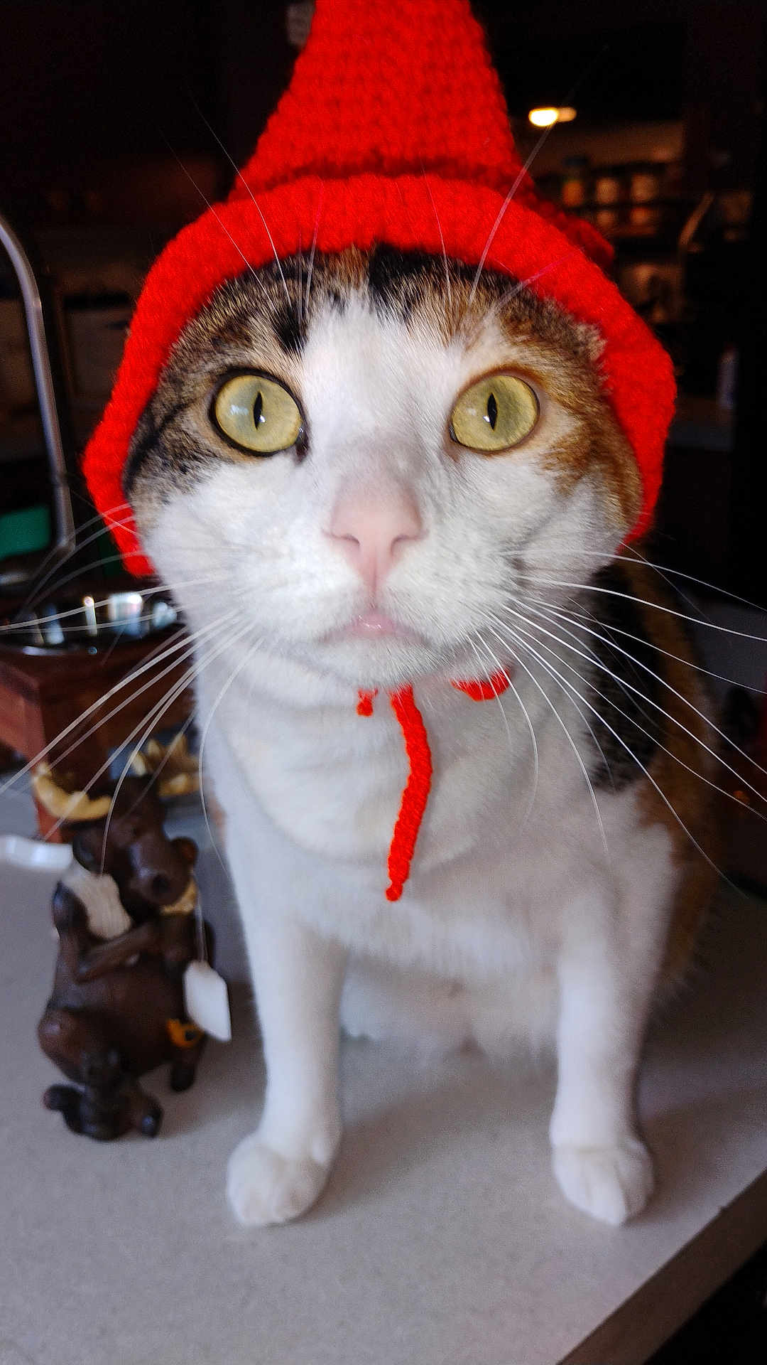 Dottie joined the competition — help win amazing prizes! cat, orange_hat, whiskers, yellow_eyes, knitted_hat, indoor, countertop, figurine, moose_figurine, curious, pet, animal, domestic_cat, closeup, portrait, white_fur, tabby_fur, cute, funny_hat, ties