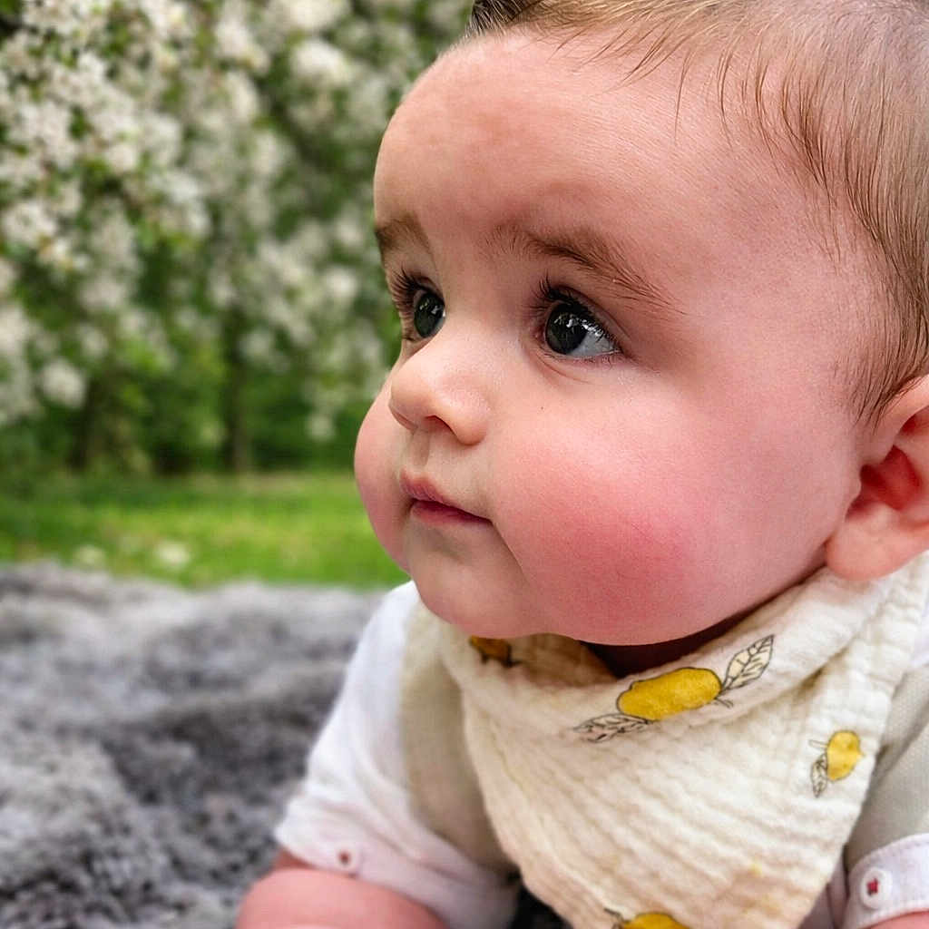 Henri a rejoint le concours — aidez-le/la à gagner de superbes lots ! baby, infant, child, face, cheeks, outdoor, nature, flowering_tree, blanket, cloth, bandana, curious, skin, head, hands, portrait, grass, spring, closeup, cute