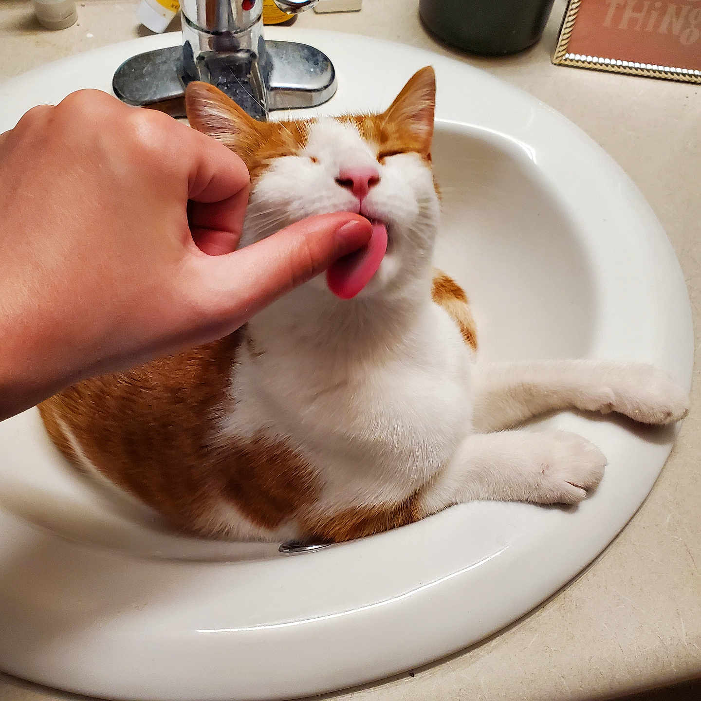 Oscar