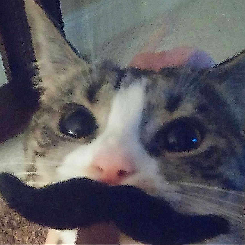 Minnie