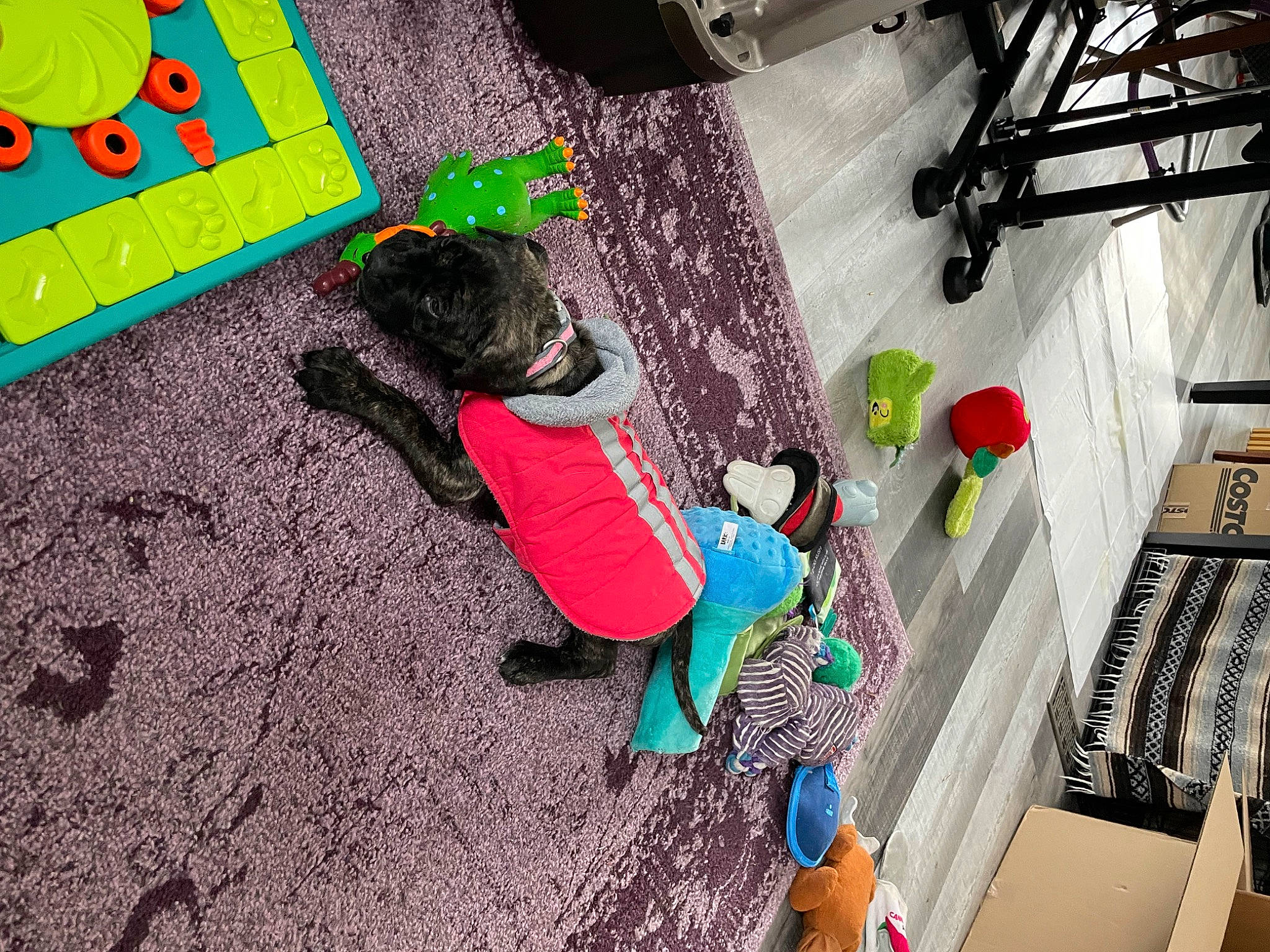 Freya is registered to the contest to win money with this photo: adventure, animation, art, child, fictional_character, floor, flooring, fun, games, graphic_design, illustration, leisure, pattern, play, recreation, room, soil, t_shirt, visual_arts, wall