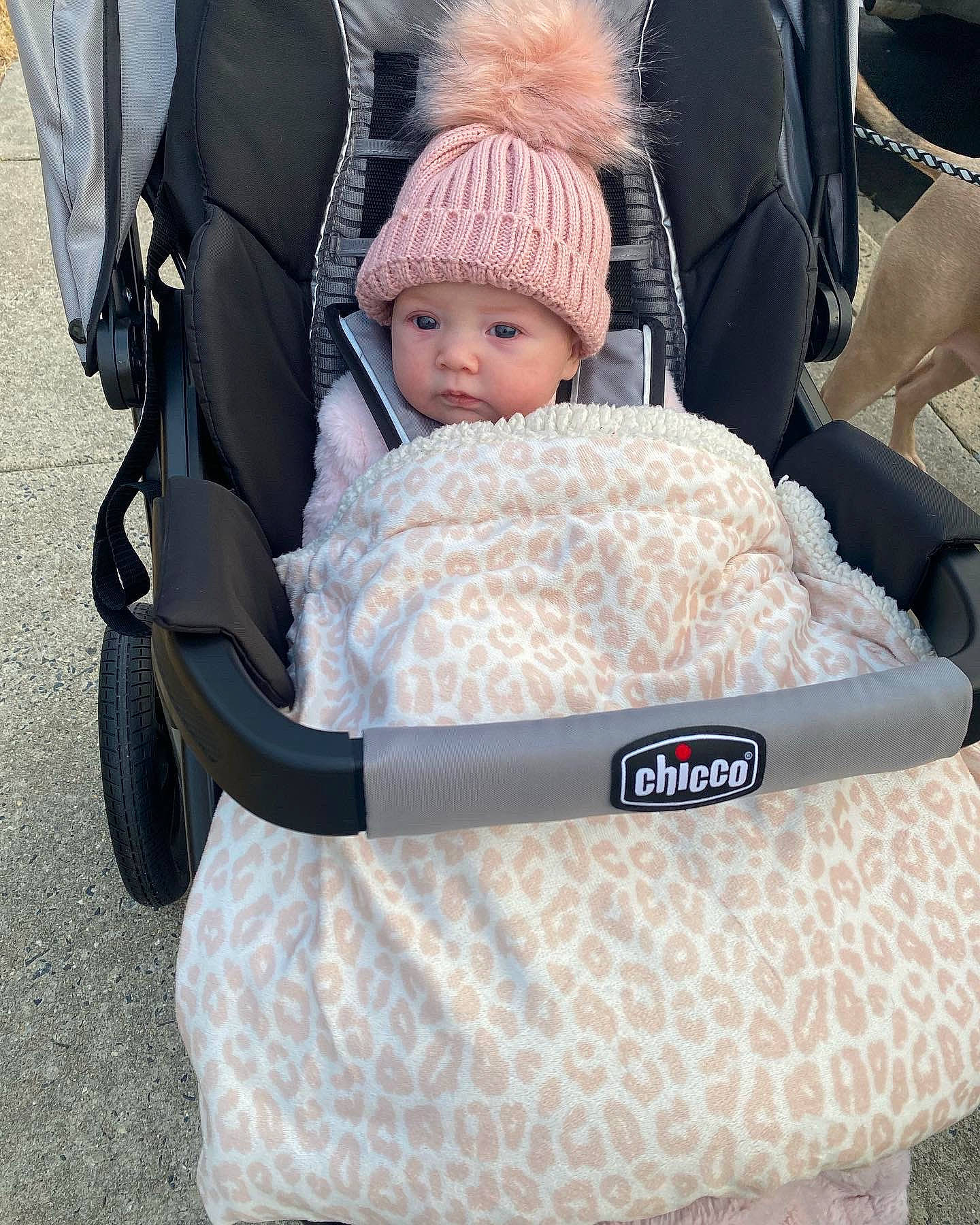 Zeppelin is registered to the contest to win money with this photo: baby, baby_carriage, baby_products, baby_safety, baby_sleeping, baby_toddler_clothing, bag, cap, car_seat, chair, child, comfort, fashion_accessory, headgear, headwear, luggage_and_bags, person, product, sitting, tire