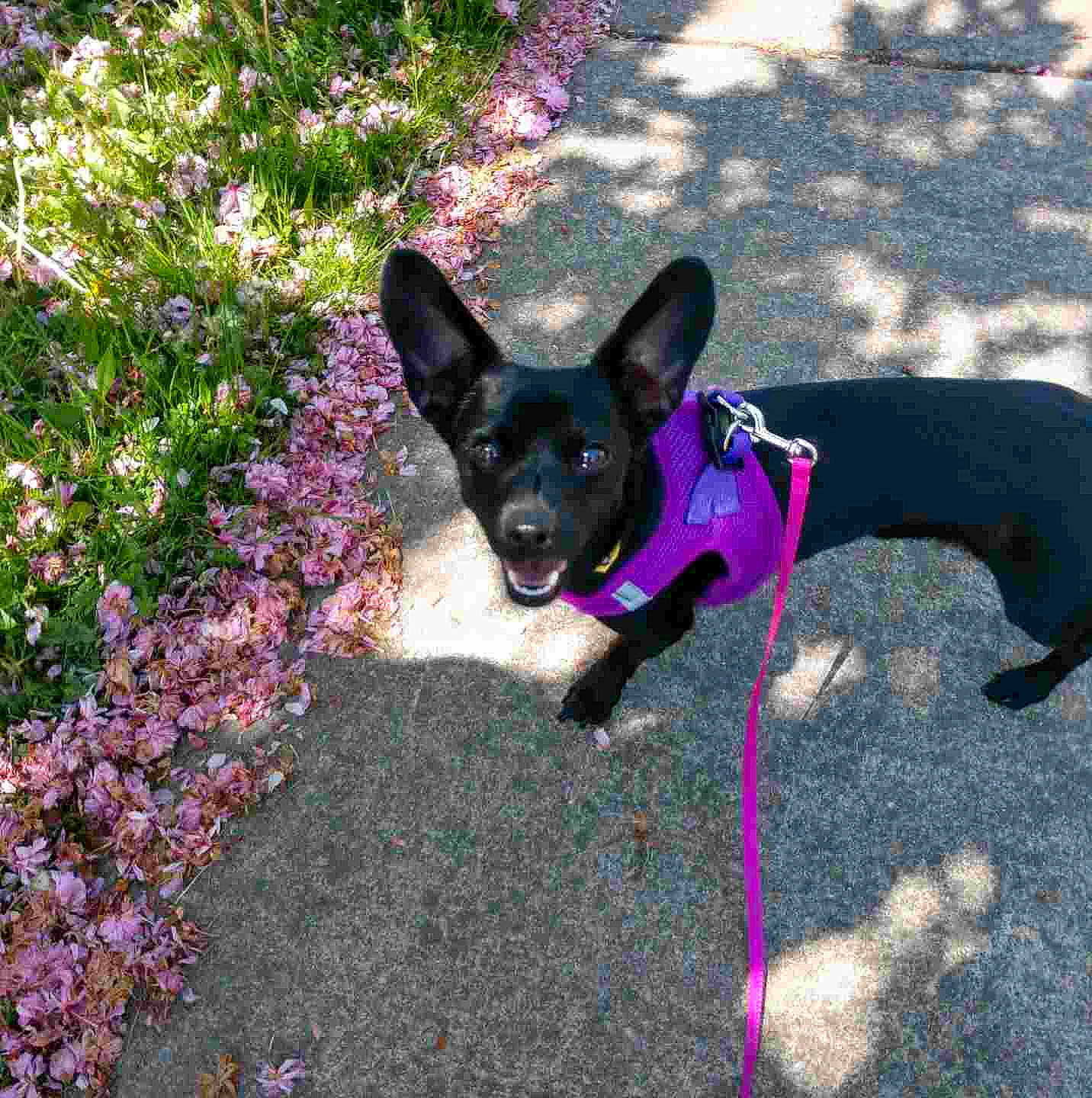 Winnie