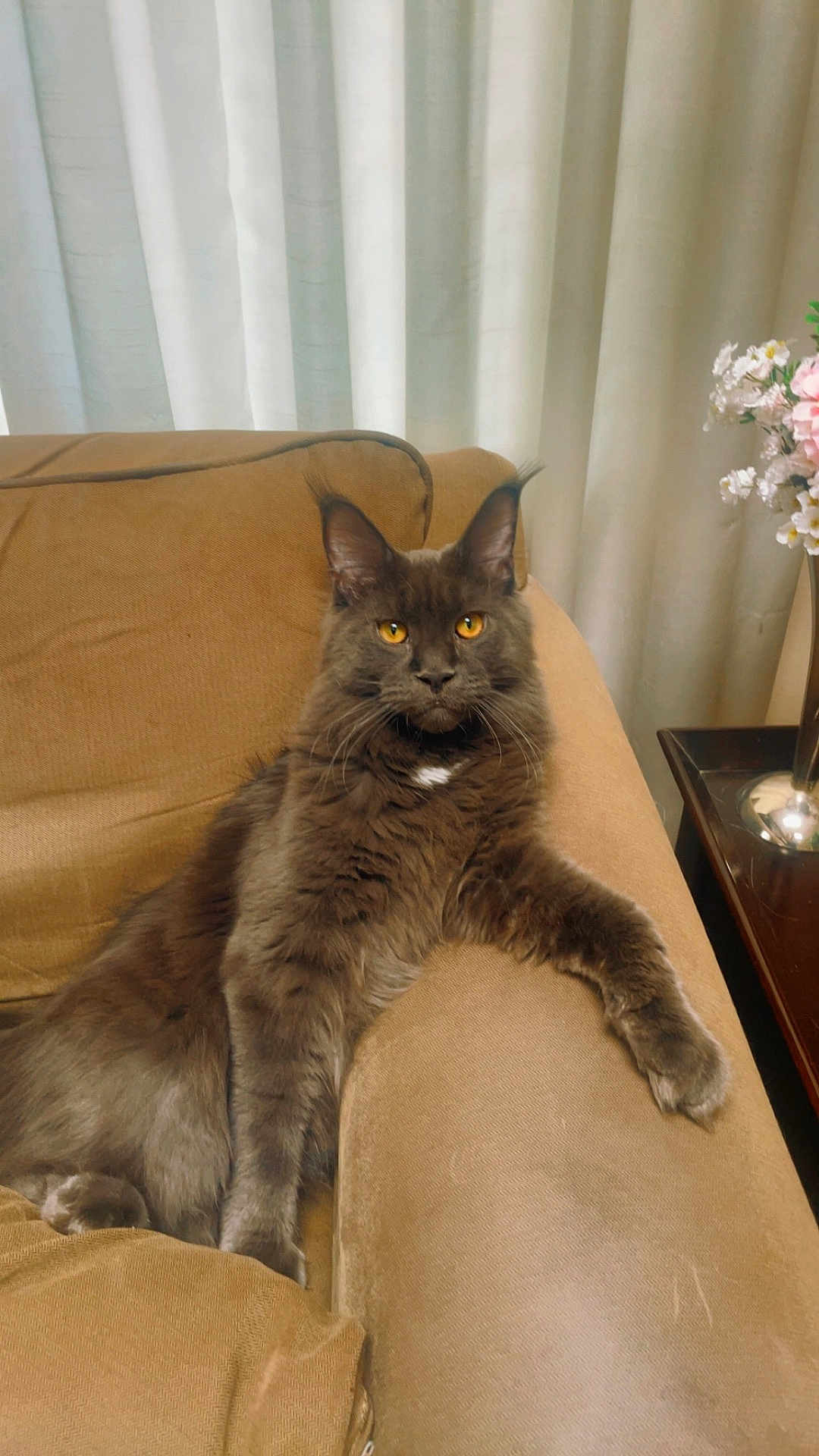 Bruce