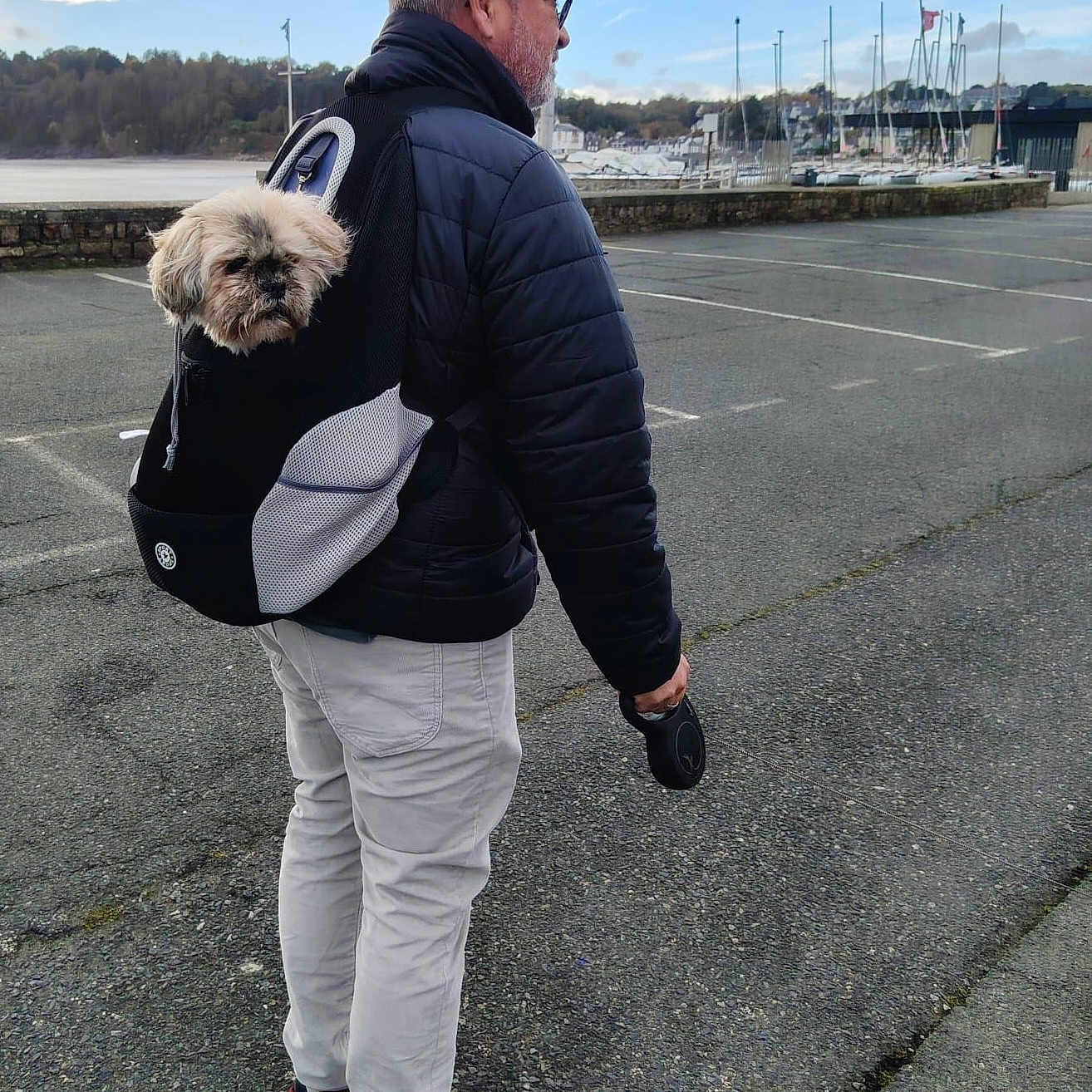 Franck Peyron participe au concours pour gagner de l'argent avec cette photo : backpack, boats, casual_clothing, cloudy_sky, dog, footwear, glasses, jacket, leash, man, marina, outdoor, pavement, pet, red_shoes, side_view, small_dog, trees, walking, water