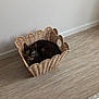 cat, basket, floor, wooden_floor, woven_basket, indoor, pet, feline, green_eyes, resting, cozy, home_interior, neutral_colors, texture, quiet, calm, domestic, animal, curled_up, closeup