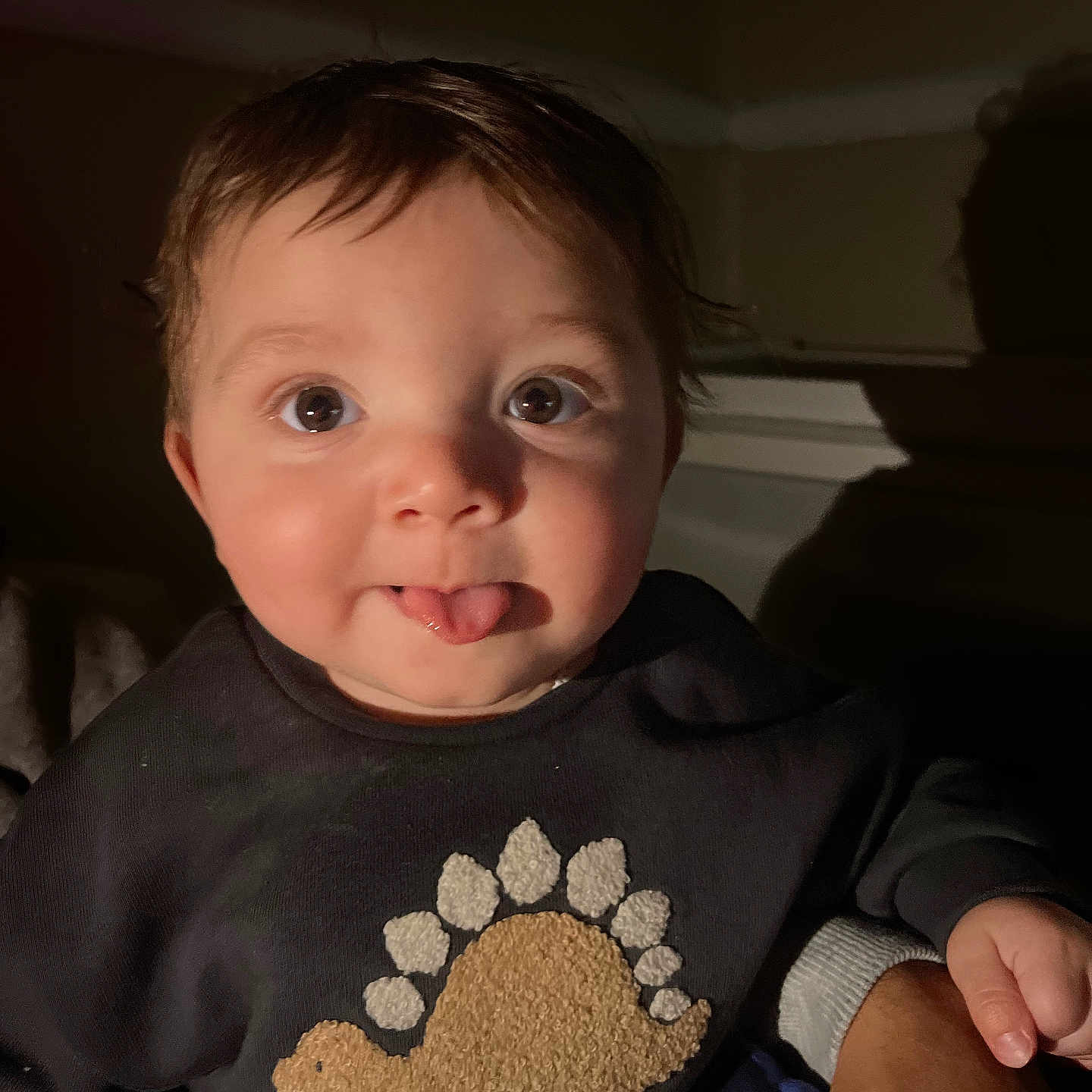 Jardii joined the competition — help win amazing prizes! baby, child, clothing, cozy, cute, dark_background, dinosaur, expression, face, hand, indoor, infant, person, playful, portrait, soft_lighting, sweatshirt, tongue_out, warm, young