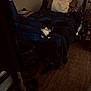 Gus is registered to the contest to win money with this photo: cat, bed, blanket, pillow, room, carpet, remote_control, books, furniture, indoor, black_and_white_cat, floor, lamp, walls, cozy, pet, star_wars, resting, carpeted_floor, quiet