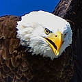 Doreen S.