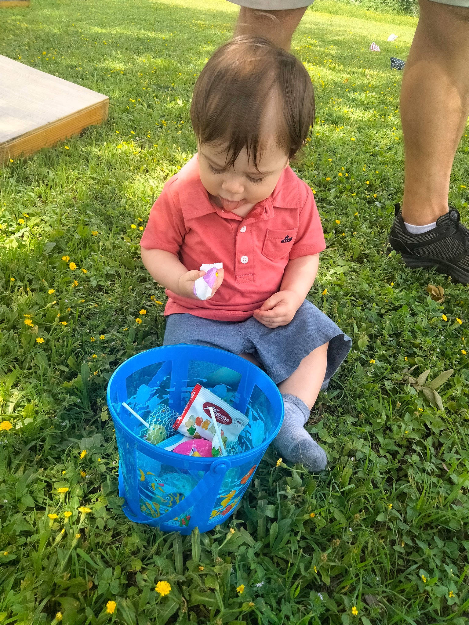 Cash joined the competition — help win amazing prizes! baby, baby_toddler_clothing, child, electric_blue, fun, garden, grass, green, groundcover, lawn, leisure, people, people_in_nature, person, play, recreation, sharing, shorts, summer, toddler