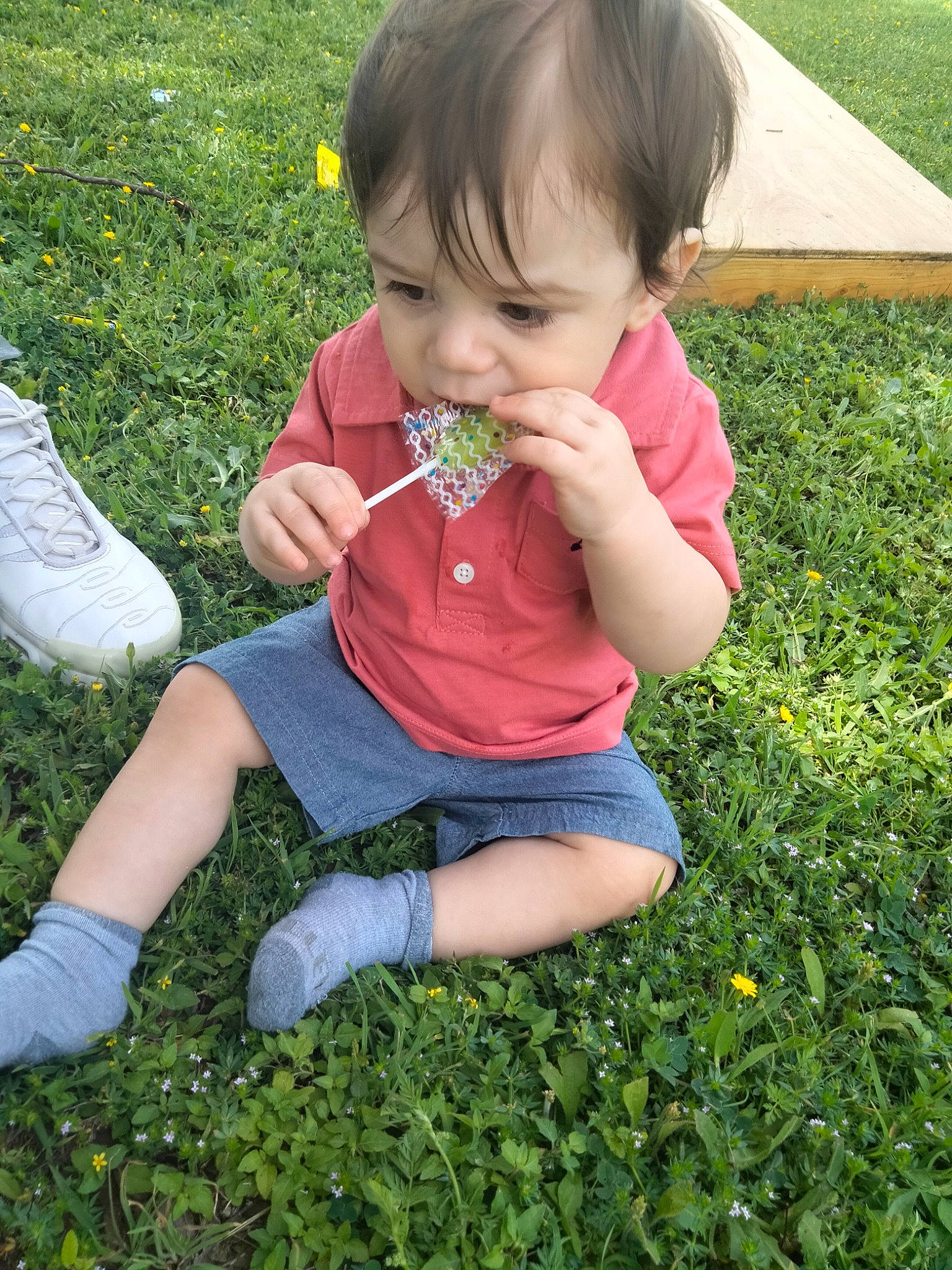 Cash is registered to the contest to win money with this photo: baby, baby_toddler_clothing, botany, child, finger, grass, grass_family, green, groundcover, hand, happy, lawn, leaf, leg, meadow, people_in_nature, person, petal, plant, thumb