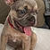 Arlo